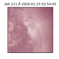 saia - 2026-01-25T02:54:45.626000