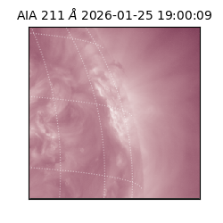 saia - 2026-01-25T19:00:09.634000
