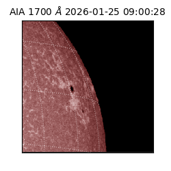 saia - 2026-01-25T09:00:28.717000