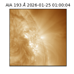 saia - 2026-01-25T01:00:04.843000