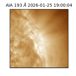 saia - 2026-01-25T19:00:04.846000