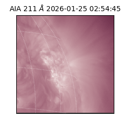 saia - 2026-01-25T02:54:45.626000