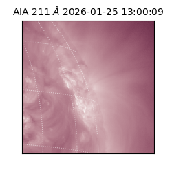 saia - 2026-01-25T13:00:09.633000
