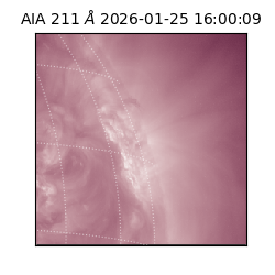 saia - 2026-01-25T16:00:09.630000