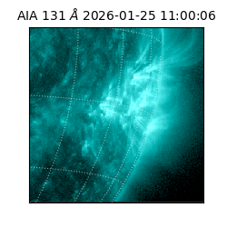 saia - 2026-01-25T11:00:06.622000