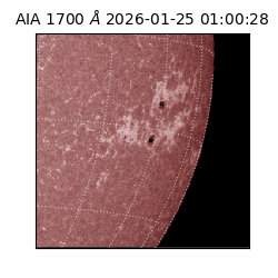 saia - 2026-01-25T01:00:28.717000