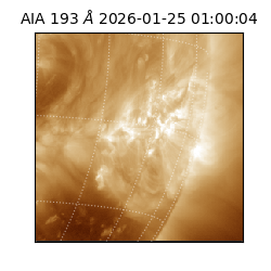 saia - 2026-01-25T01:00:04.843000