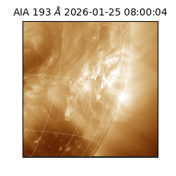 saia - 2026-01-25T08:00:04.843000