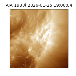 saia - 2026-01-25T19:00:04.846000