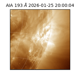 saia - 2026-01-25T20:00:04.846000