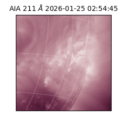saia - 2026-01-25T02:54:45.626000
