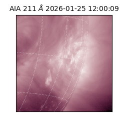 saia - 2026-01-25T12:00:09.625000