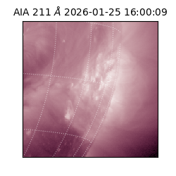 saia - 2026-01-25T16:00:09.630000