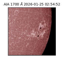 saia - 2026-01-25T02:54:52.718000