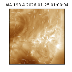 saia - 2026-01-25T01:00:04.843000