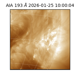 saia - 2026-01-25T10:00:04.843000