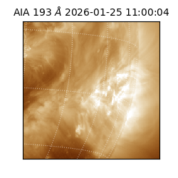saia - 2026-01-25T11:00:04.842000
