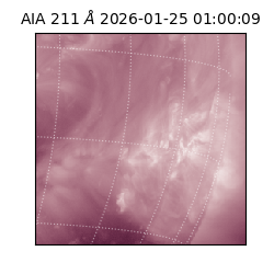 saia - 2026-01-25T01:00:09.626000