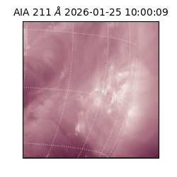 saia - 2026-01-25T10:00:09.631000
