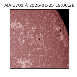 saia - 2026-01-25T19:00:28.738000