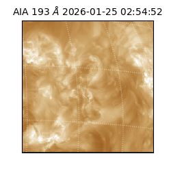 saia - 2026-01-25T02:54:52.843000