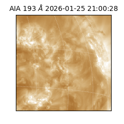 saia - 2026-01-25T21:00:28.843000