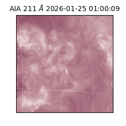 saia - 2026-01-25T01:00:09.626000