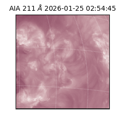 saia - 2026-01-25T02:54:45.626000