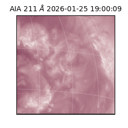 saia - 2026-01-25T19:00:09.634000