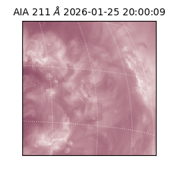 saia - 2026-01-25T20:00:09.632000