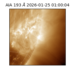 saia - 2026-01-25T01:00:04.843000