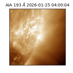 saia - 2026-01-25T04:00:04.843000