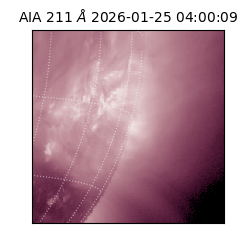 saia - 2026-01-25T04:00:09.626000