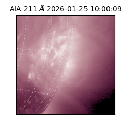 saia - 2026-01-25T10:00:09.631000