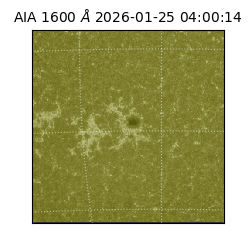 saia - 2026-01-25T04:00:14.125000