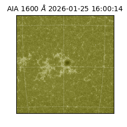 saia - 2026-01-25T16:00:14.132000