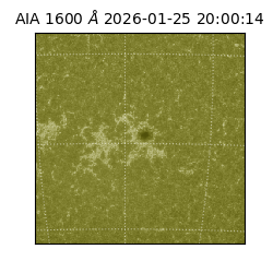 saia - 2026-01-25T20:00:14.126000
