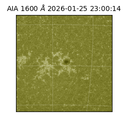 saia - 2026-01-25T23:00:14.129000