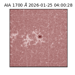 saia - 2026-01-25T04:00:28.721000