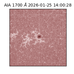 saia - 2026-01-25T14:00:28.722000
