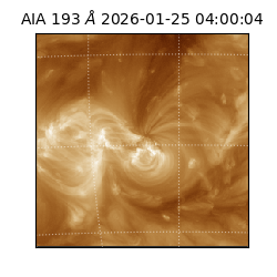 saia - 2026-01-25T04:00:04.843000