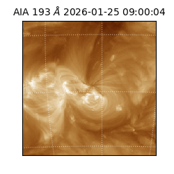 saia - 2026-01-25T09:00:04.843000