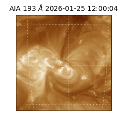 saia - 2026-01-25T12:00:04.838000