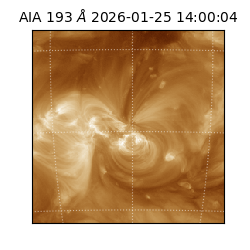 saia - 2026-01-25T14:00:04.846000