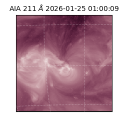 saia - 2026-01-25T01:00:09.626000