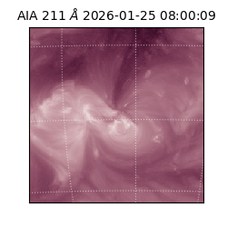 saia - 2026-01-25T08:00:09.625000