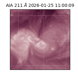 saia - 2026-01-25T11:00:09.631000