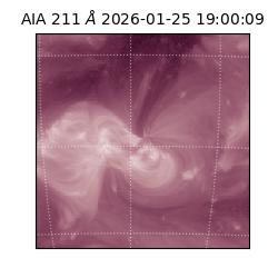 saia - 2026-01-25T19:00:09.634000
