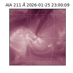 saia - 2026-01-25T23:00:09.632000