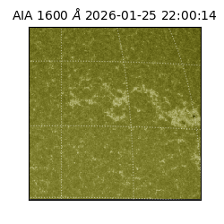 saia - 2026-01-25T22:00:14.122000